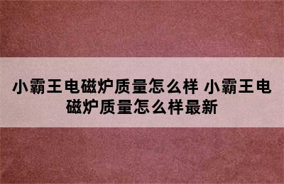 小霸王电磁炉质量怎么样 小霸王电磁炉质量怎么样最新